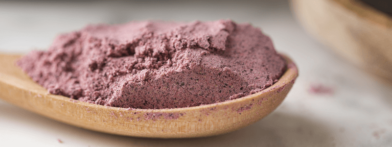 Blackcurrant Fruit Powder From New Zealand